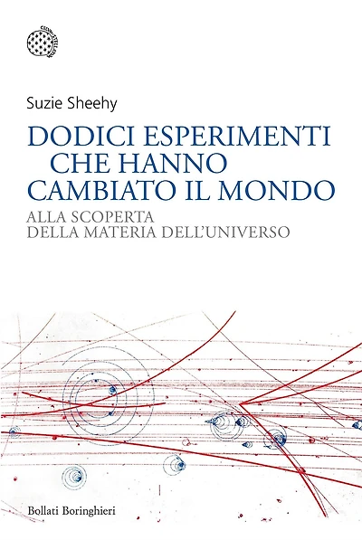Dodici esperimenti che hanno cambiato il mondo: Alla scoperta della materia dell'universo