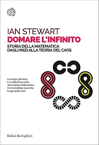 Domare l'infinito: Storia della matematica dagli inizi alla teoria del caos