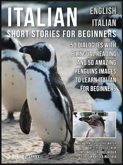 Italian Short Stories for Beginners
