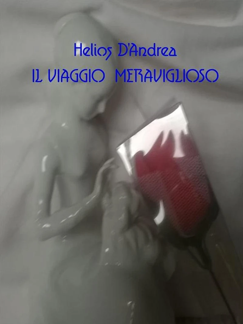 Il viaggio meraviglioso