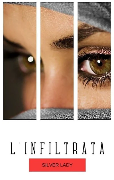 L'infiltrata: Il commissario Risso