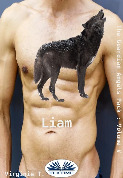 Liam: The Guardian Angel Pack, Vol. 5