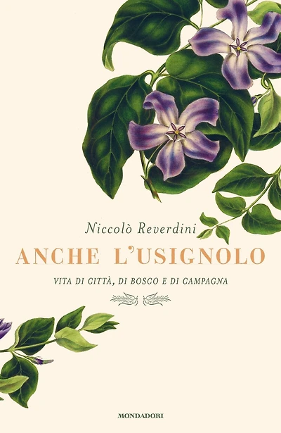 Anche l'usignolo