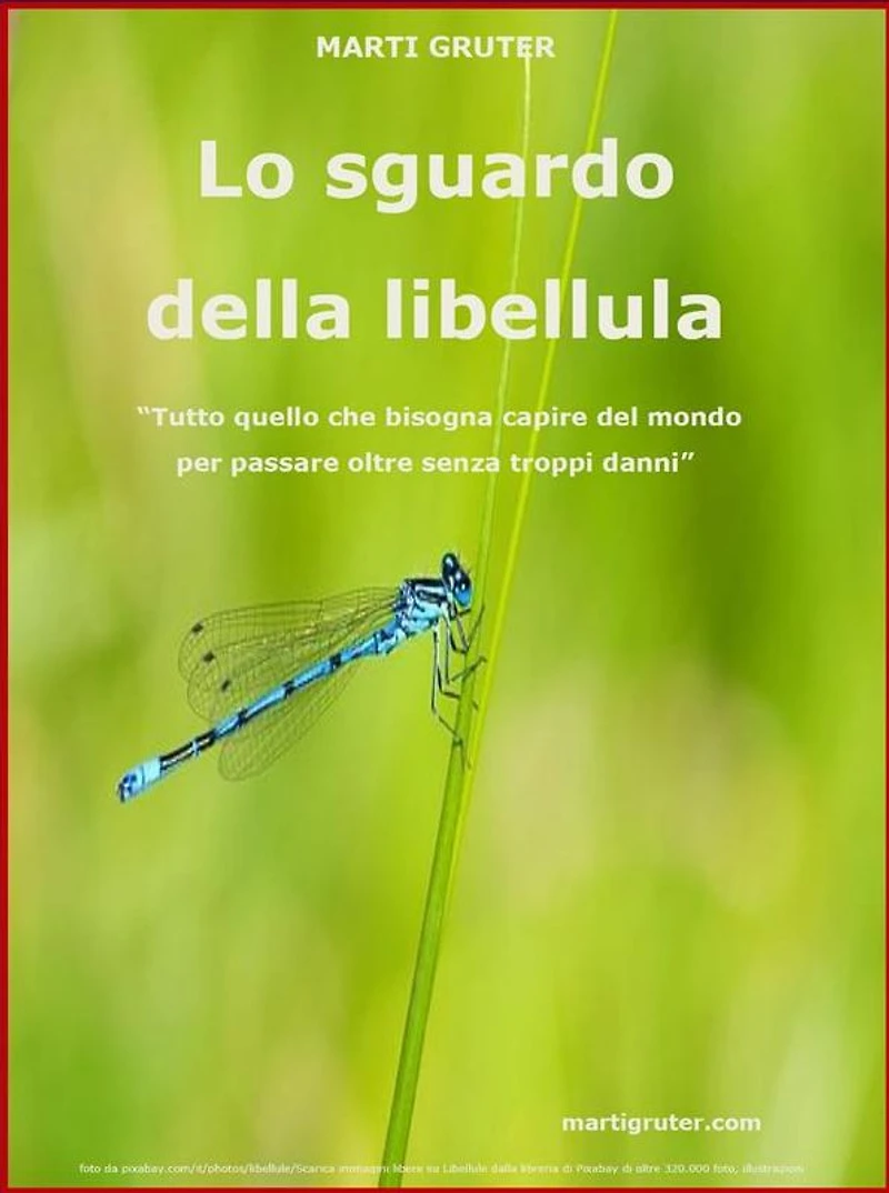 Lo sguardo della libellula: Autobiografia sociologica ed altri scritti