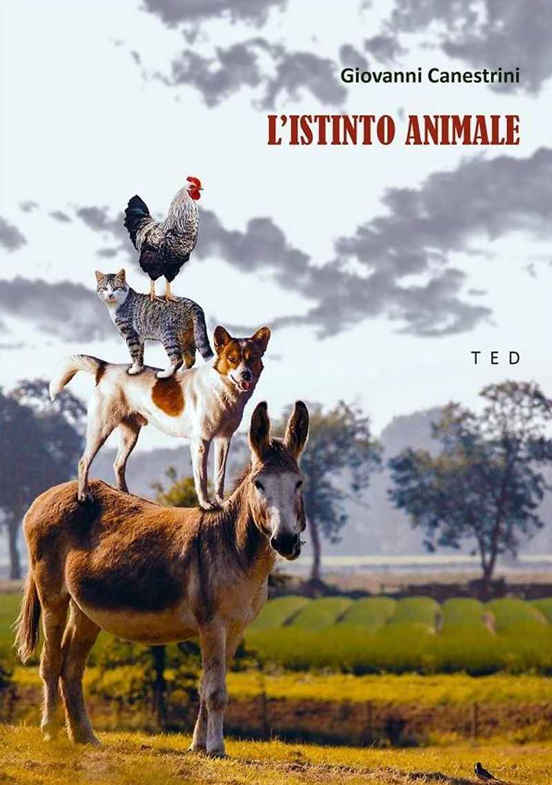 L'istinto animale: Illustrato