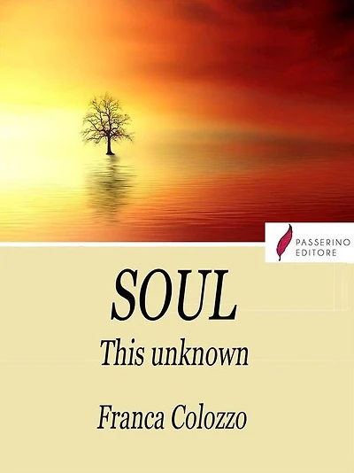 Soul: This unknown