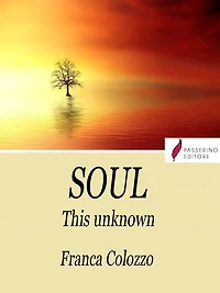 Soul: This unknown