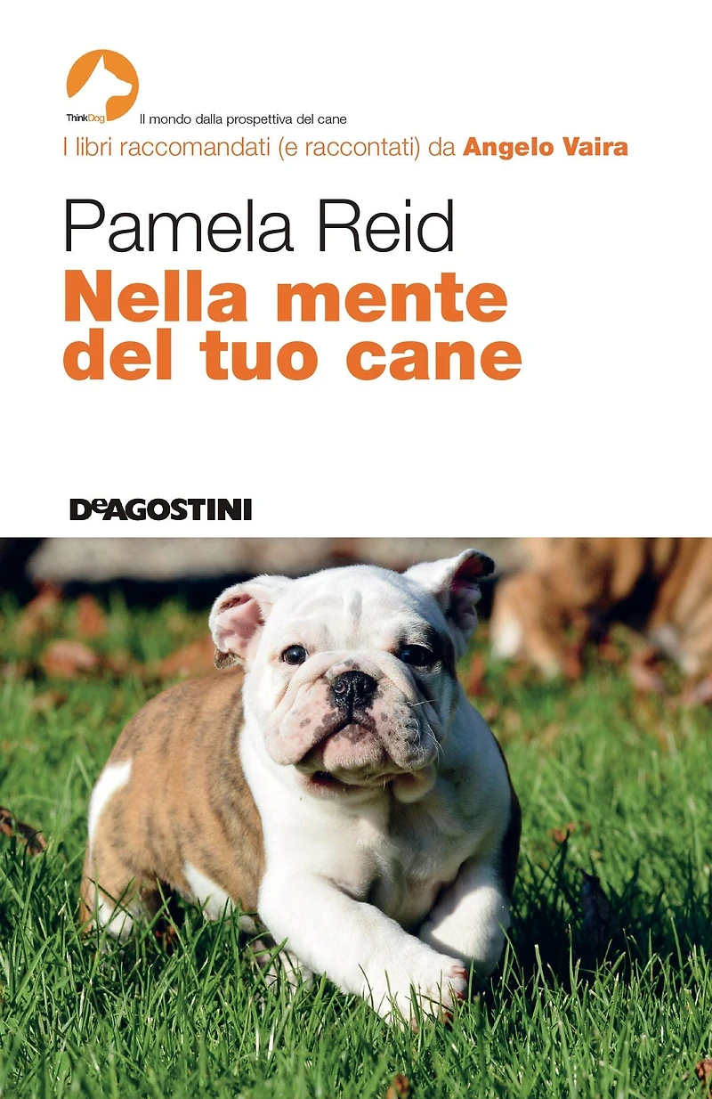 Nella mente del tuo cane
