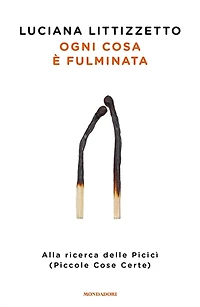 Ogni cosa è fulminata