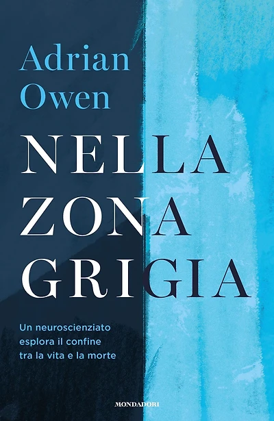 Nella zona grigia