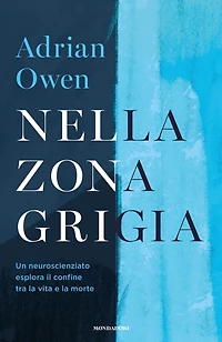Nella zona grigia