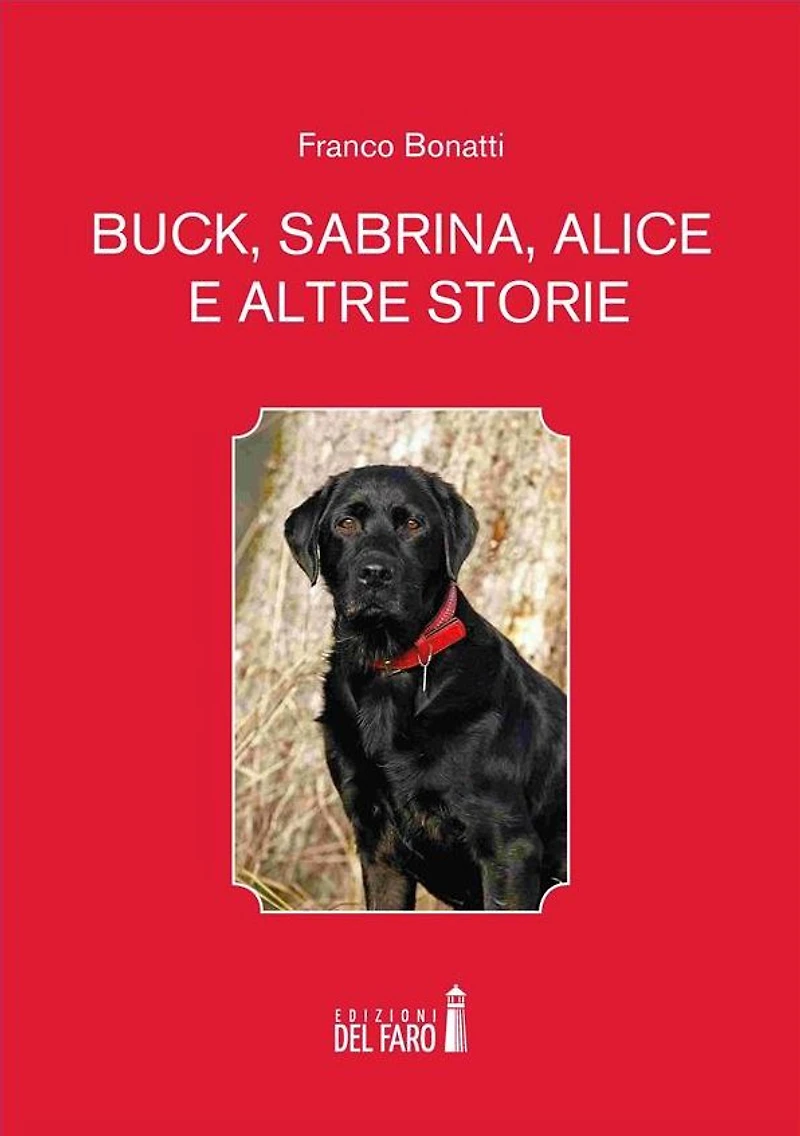 Buck, Sabrina, Alice e altre storie