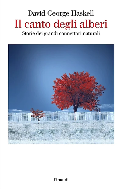 Il canto degli alberi