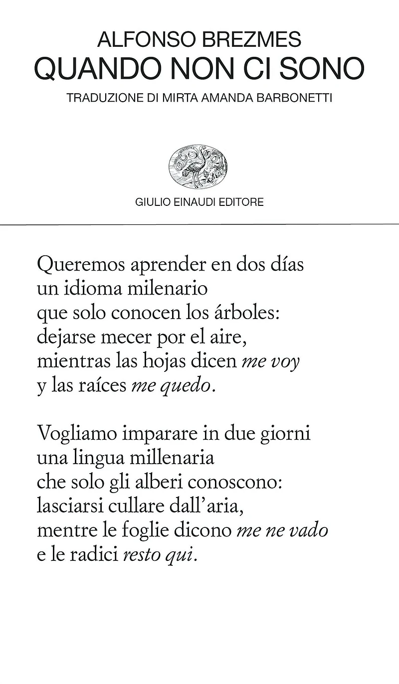 Quando non ci sono
