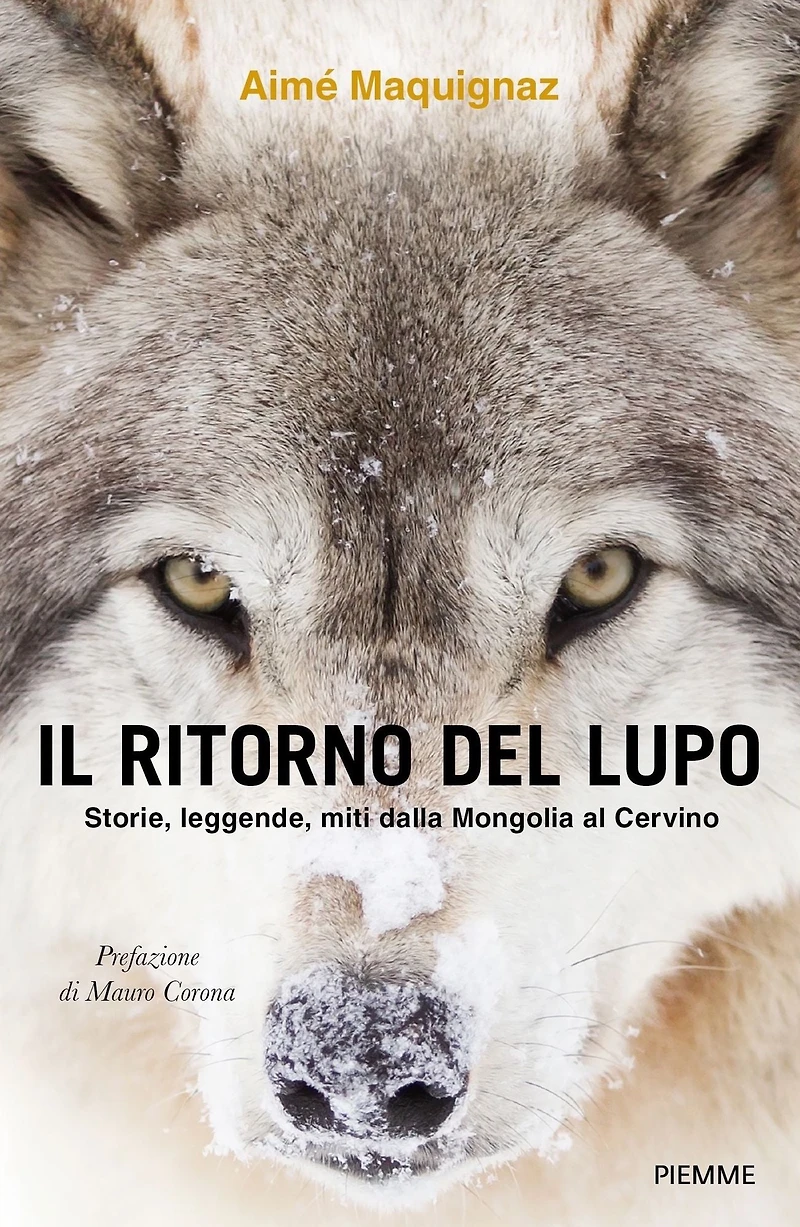 Il ritorno del lupo