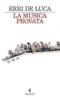 La musica provata