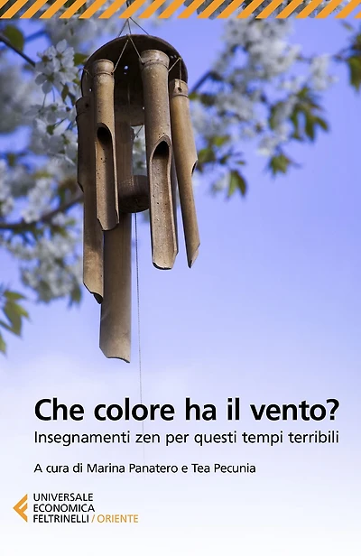 Che colore ha il vento?: Insegnamenti zen per questi tempi terribili