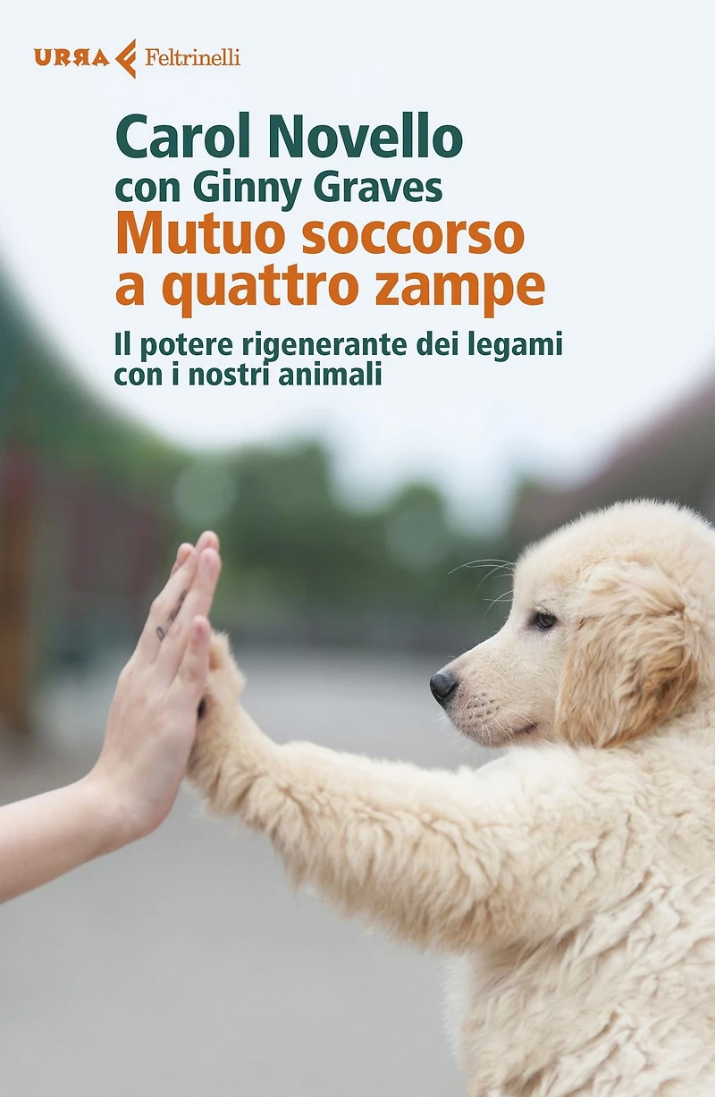 Mutuo soccorso a quattro zampe: Il potere rigenerante dei legami con i nostri animali