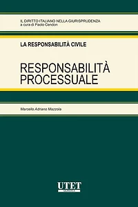 Responsabilità processuale