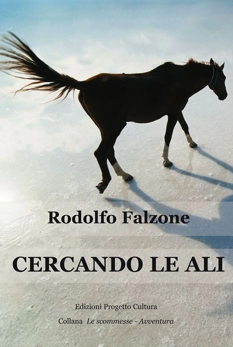 Cercando le ali