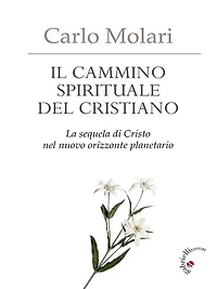 Il cammino spirituale del cristiano: La sequela di Cristo nel nuovo orizzonte planetario