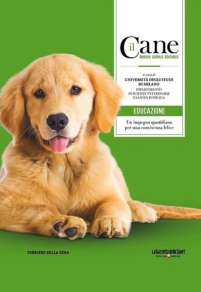 il Cane - EDUCAZIONE