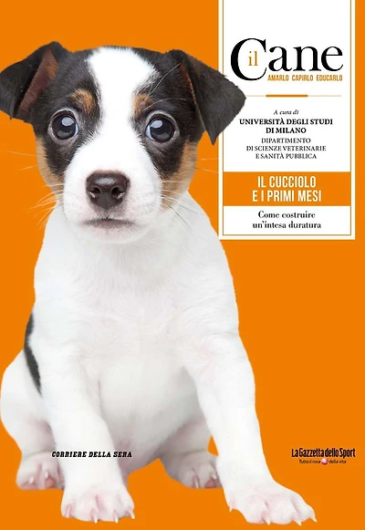 Il Cane - IL CUCCIOLO E I PRIMI MESI