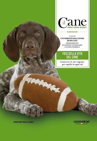 Il Cane - LE FASI DELLA VITA