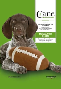 Il Cane - LE FASI DELLA VITA