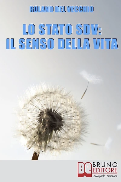 Lo Stato SDV: il Senso della Vita