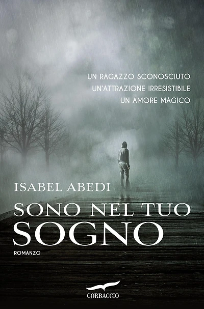 Sono nel tuo sogno