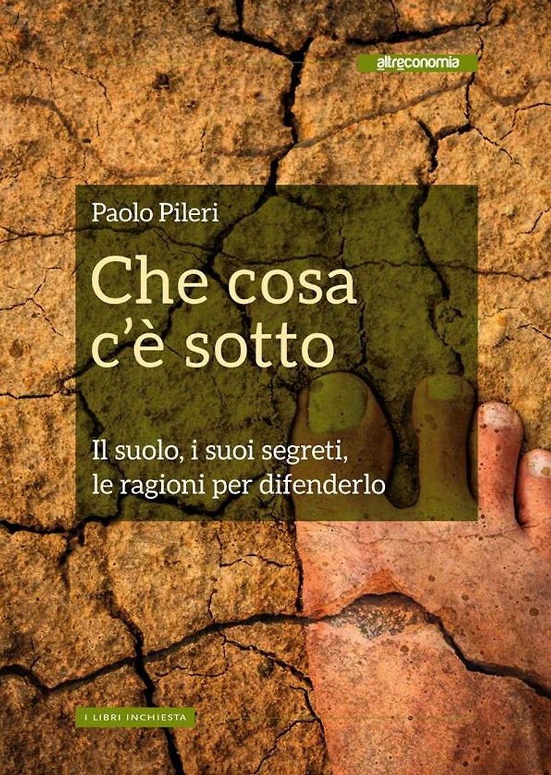 Che cosa c'è sotto: Il suolo, i suoi segreti, le ragioni per difenderlo