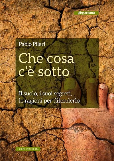 Che cosa c'è sotto: Il suolo, i suoi segreti, le ragioni per difenderlo