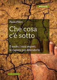 Che cosa c'è sotto: Il suolo, i suoi segreti, le ragioni per difenderlo