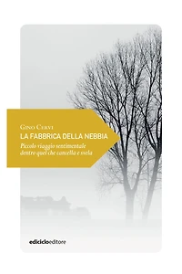 La fabbrica della nebbia: Piccolo viaggio sentimentale dentro quel che cancella e svela