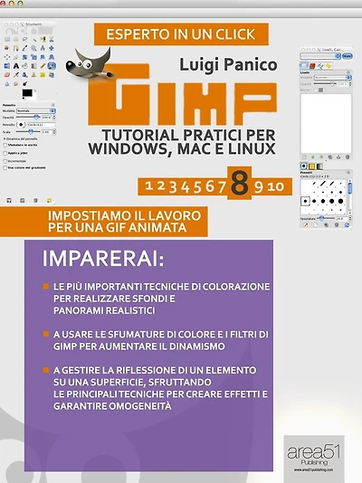 GIMP: tutorial pratici per Windows, Mac e Linux. Livello 8: Impostiamo il lavoro per una GIF animata