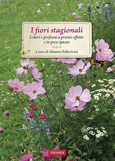 I fiori stagionali: Colori e profumi a pronto effetto e in poco spazio