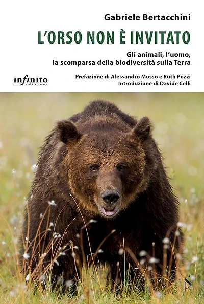 L'orso non è invitato: Gli animali, l'uomo, la scomparsa della biodiversità sulla Terra