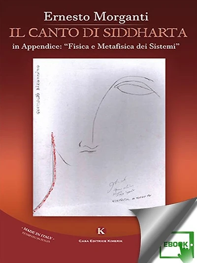 Il canto di Siddharta: in Appendice: "Fisica e Metafisica dei Sistemi"