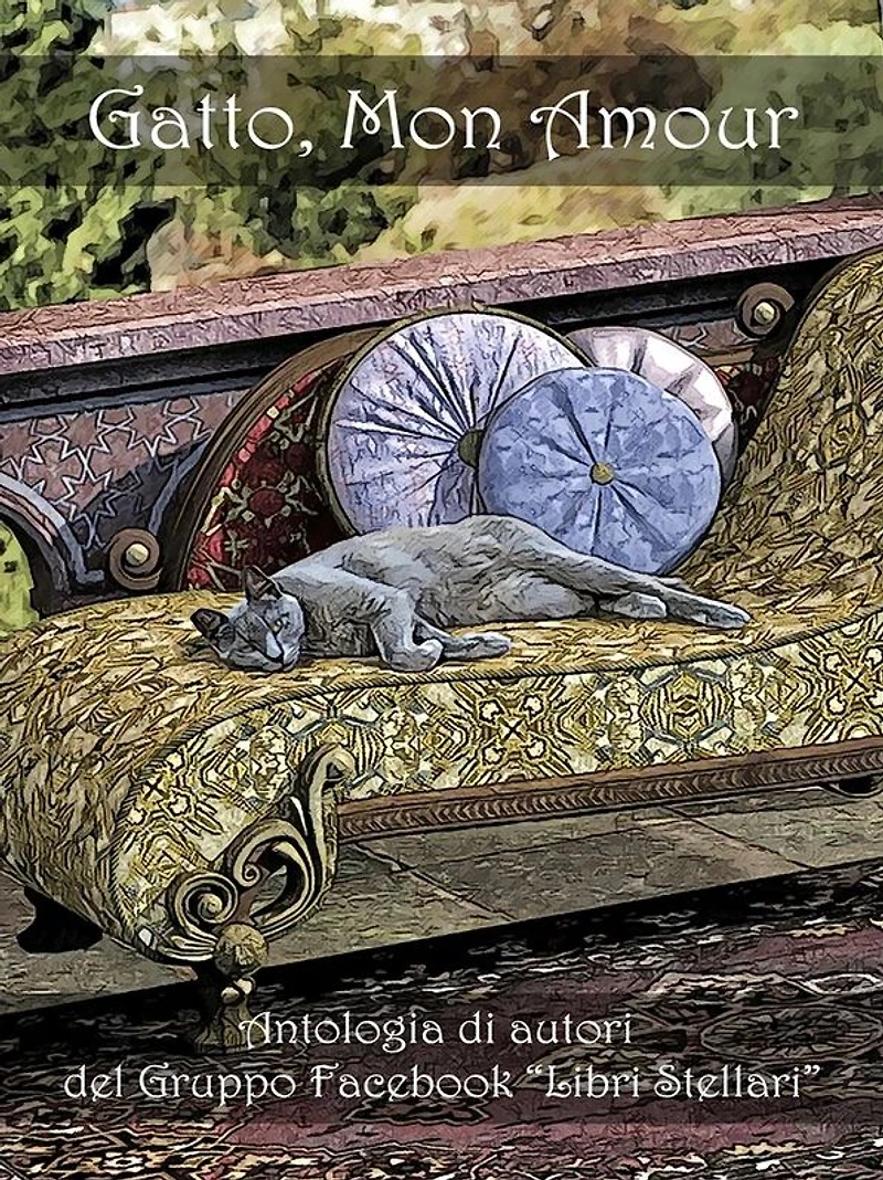 Gatto mon amour