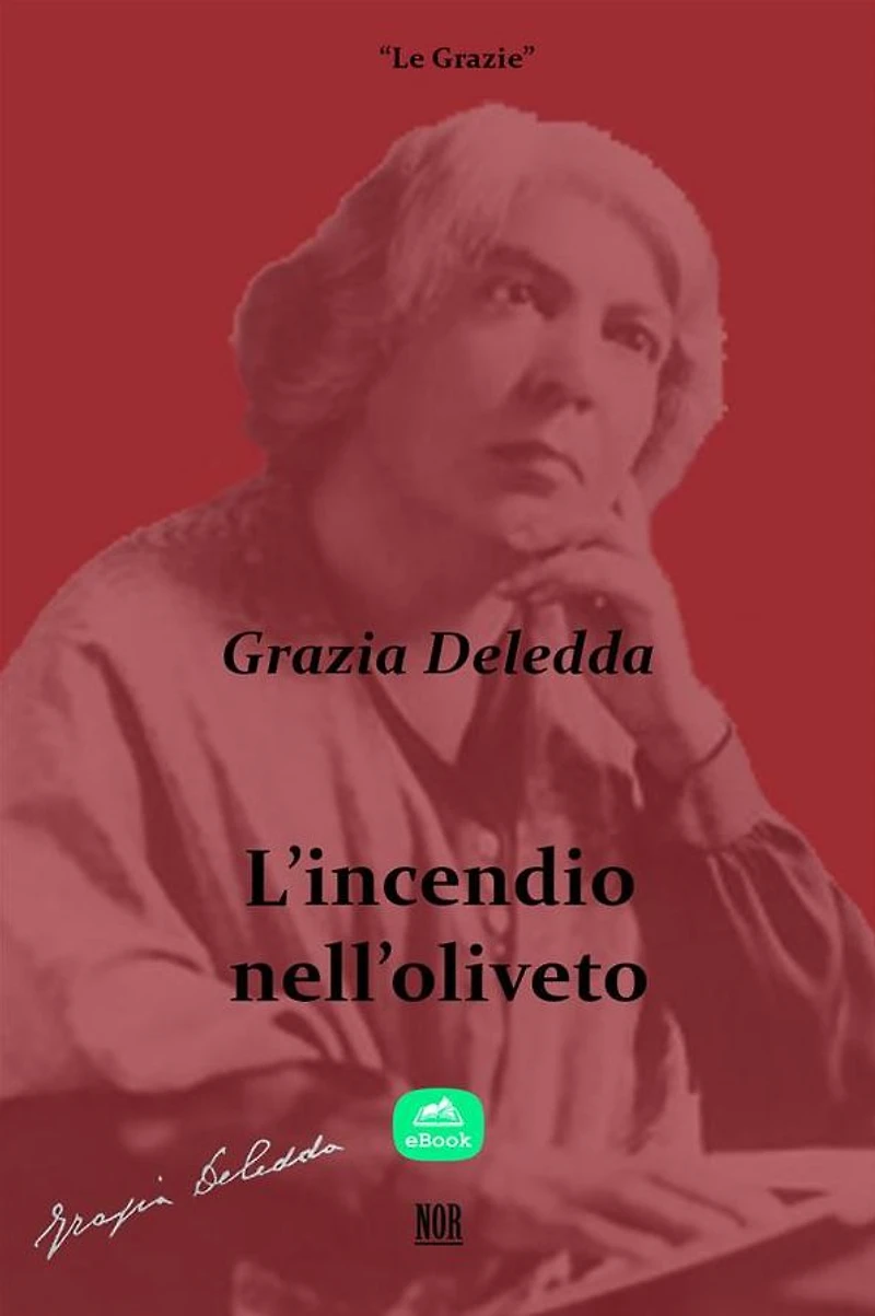 L'incendio nell'oliveto