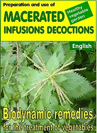 Preparation and use of macerated, infusions, decoctions. Biodynamic remedies for the treatment of vegetables