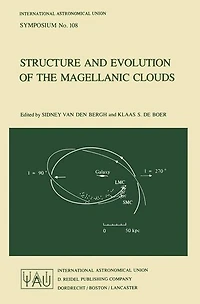 Structure and Evolution of the Magellanic Clouds