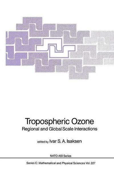 Tropospheric Ozone: Regional and Global Scale Interactions