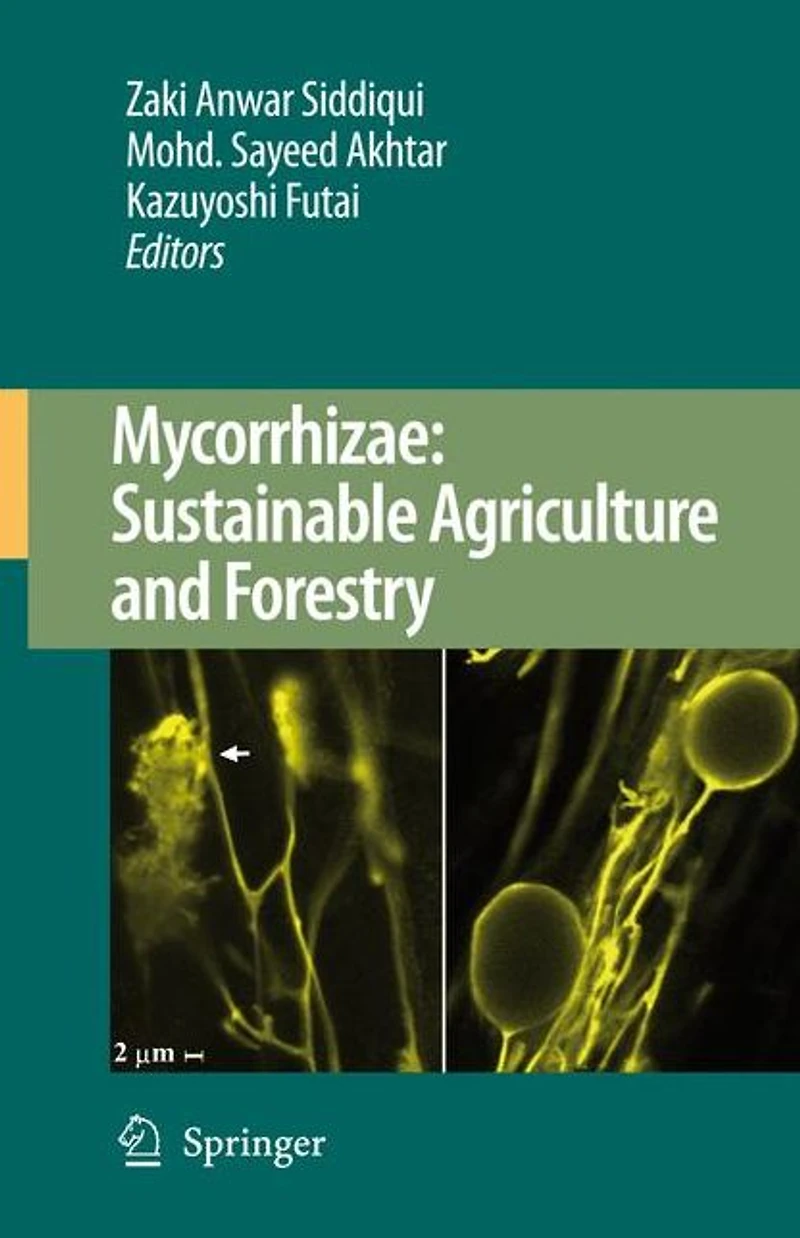 Mycorrhizae: Sustainable Agriculture and Forestry