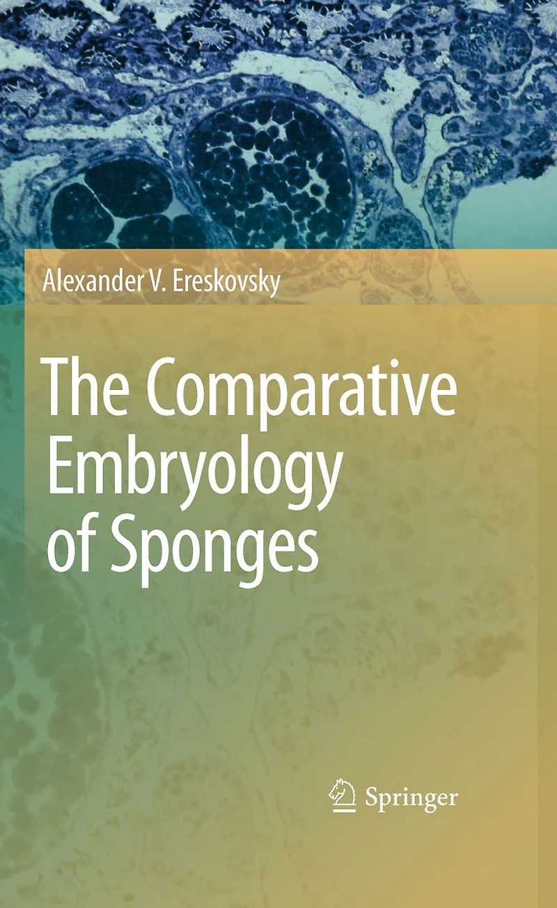 The Comparative Embryology of Sponges