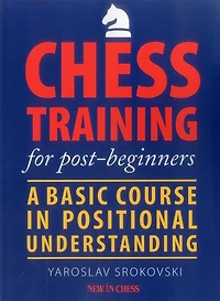 Chess Training for Post-beginners: A Basic Course Positional Understanding