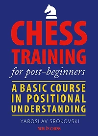 Chess Training for Post-beginners: A Basic Course Positional Understanding