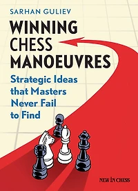 Winning Chess Manoeuvres: Strategic Ideas that Masters Never Fail to Find