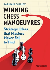 Winning Chess Manoeuvres: Strategic Ideas that Masters Never Fail to Find